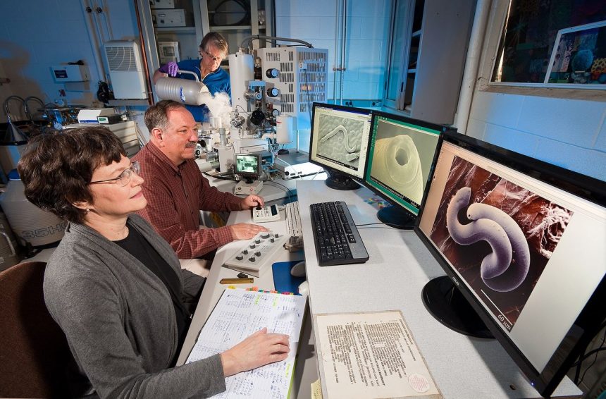 A scientist working with a microscope in a laboratory