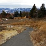 people walking together on park path