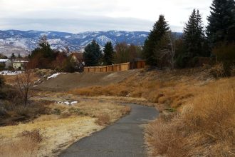 people walking together on park path